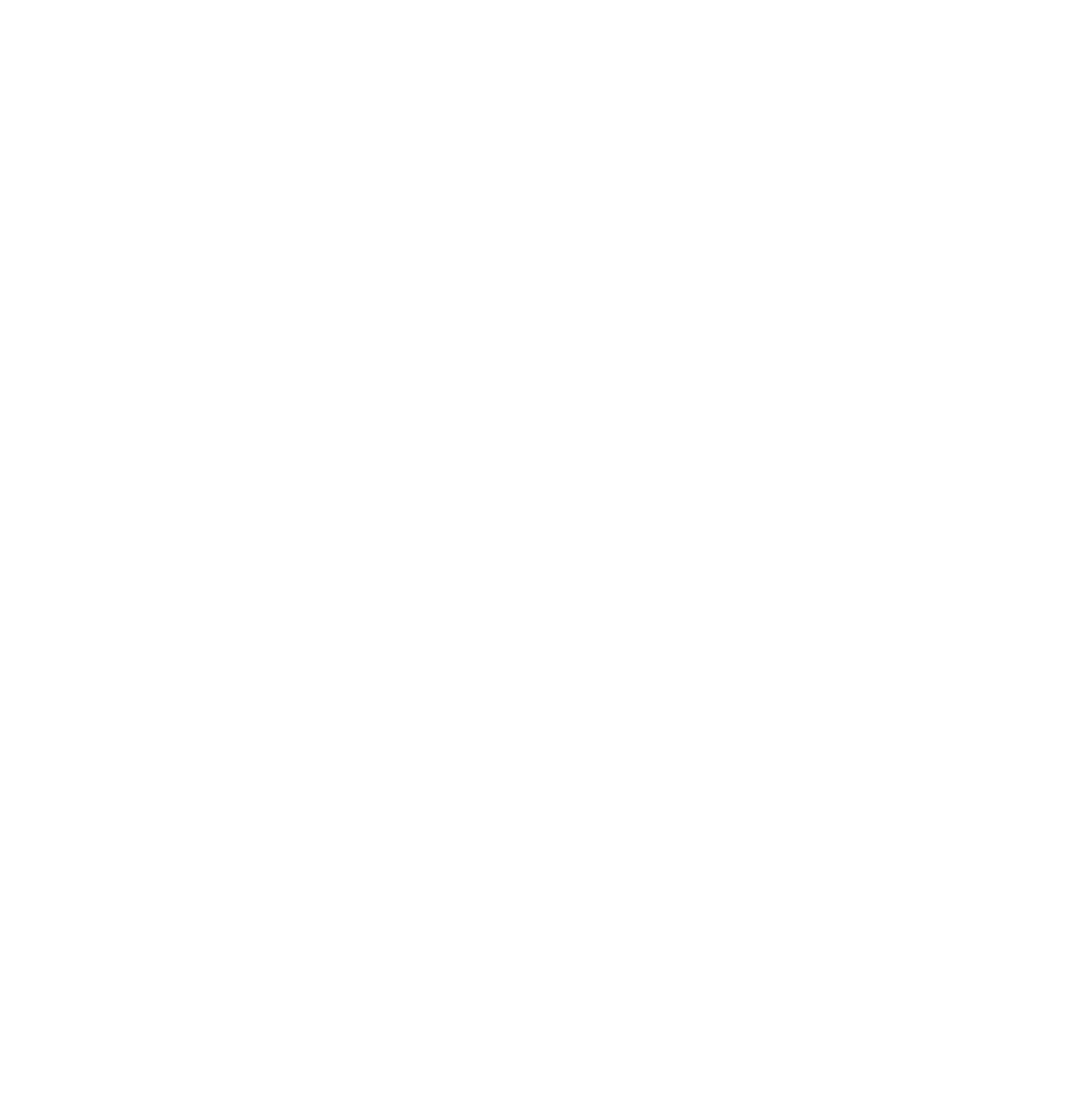 Logo_ws